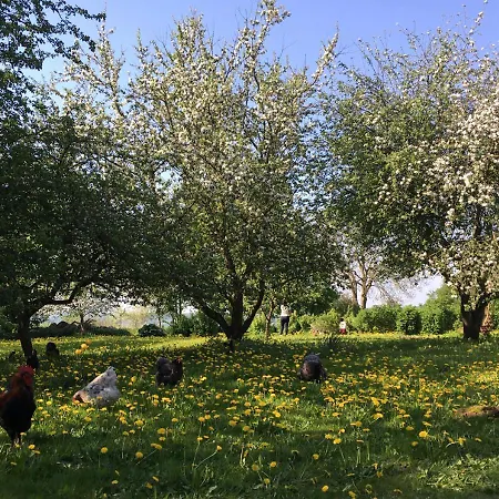 Horhaven Bed & Breakfast