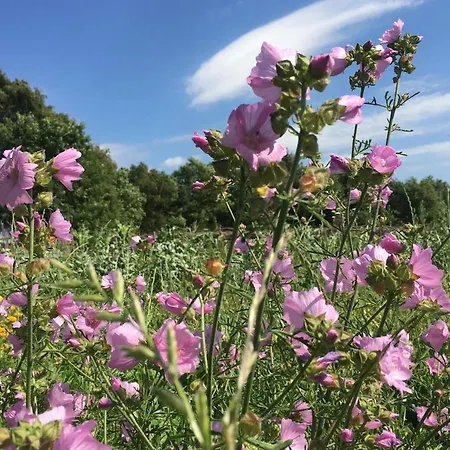 Horhaven Bed & Breakfast 3*