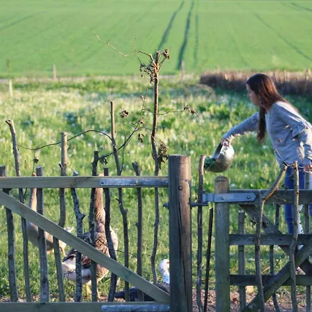 Horhaven Bed & Breakfast