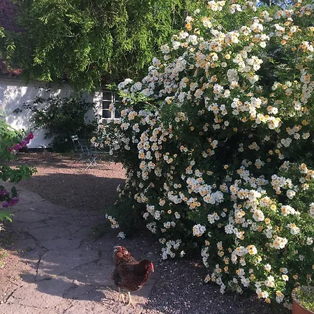 Horhaven Bed & Breakfast 3*