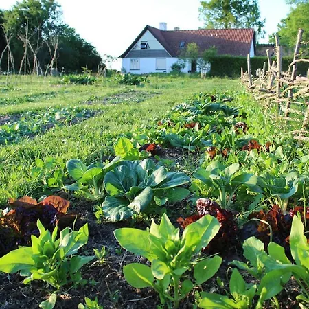 Horhaven 3* Fuglebjerg