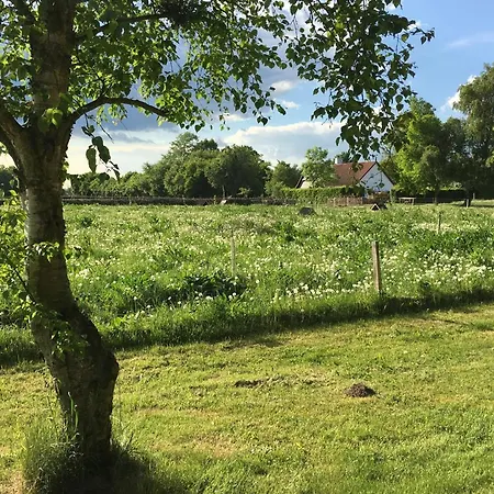 Bed and Breakfast Horhaven Fuglebjerg