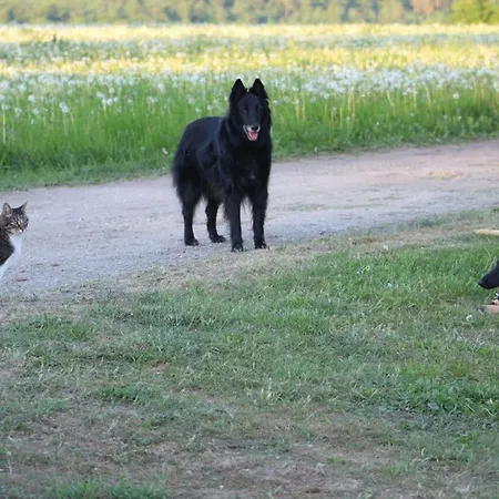 Horhaven Bed & Breakfast Fuglebjerg