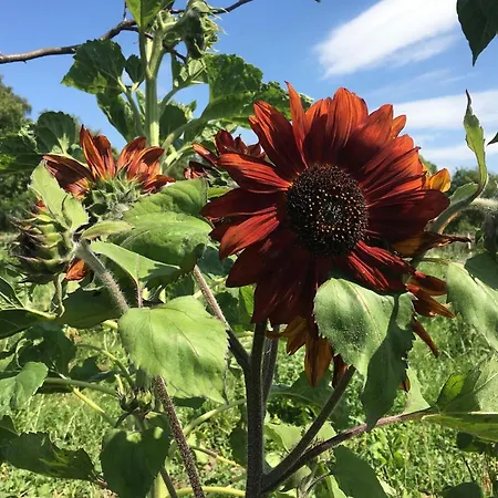 Horhaven Bed & Breakfast