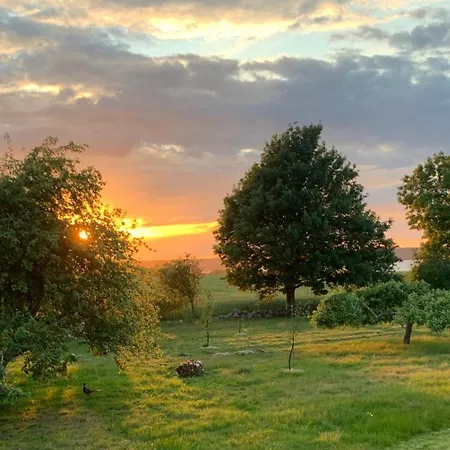 Bed and Breakfast Horhaven 3*