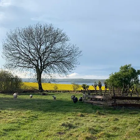 Bed & Breakfast Horhaven