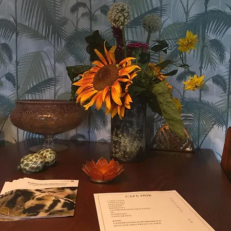 Bed and Breakfast Horhaven