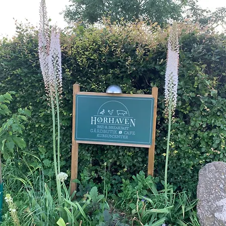 Bed and Breakfast Horhaven 3*