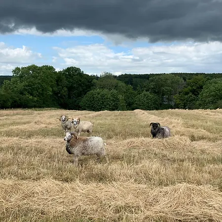 Bed and Breakfast Horhaven Fuglebjerg