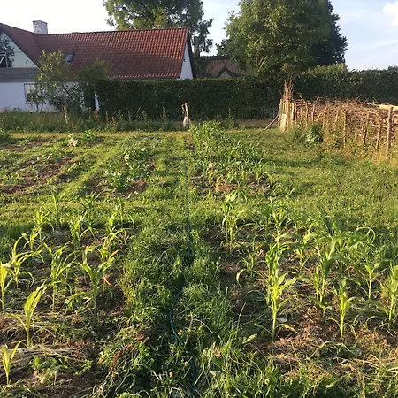 Bed & Breakfast Horhaven Fuglebjerg