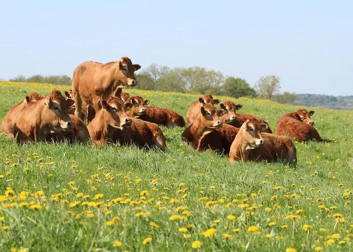 Frühstückspension Horhaven Fuglebjerg