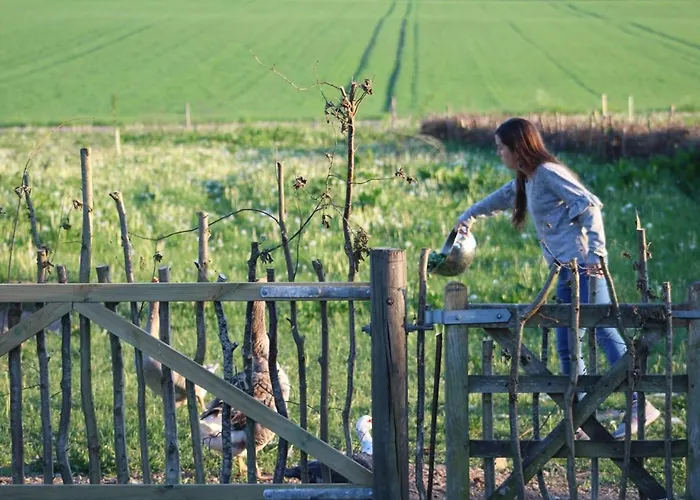 Horhaven Oda ve Kahvaltı