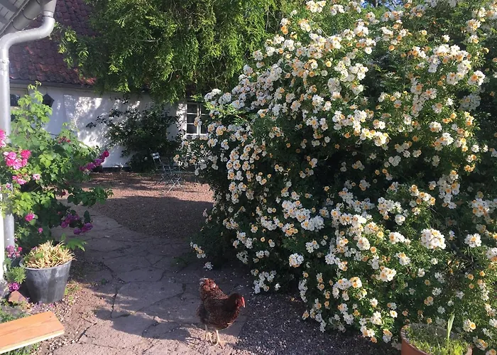 Horhaven Bed & Breakfast 3*