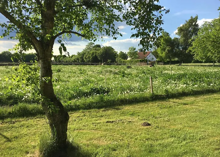 Bed & Breakfast Horhaven Fuglebjerg