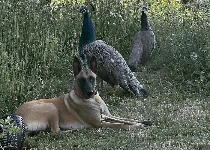 Horhaven Oda ve Kahvaltı Fuglebjerg