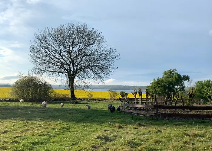 Bed & Breakfast Horhaven