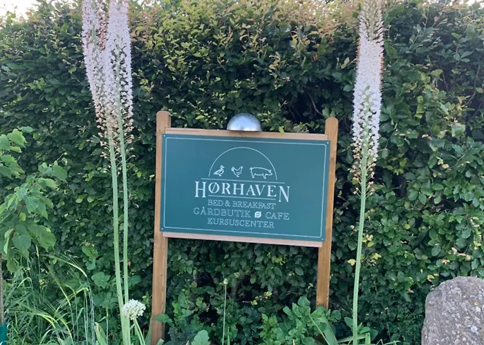 Oda ve Kahvaltı Horhaven 3*