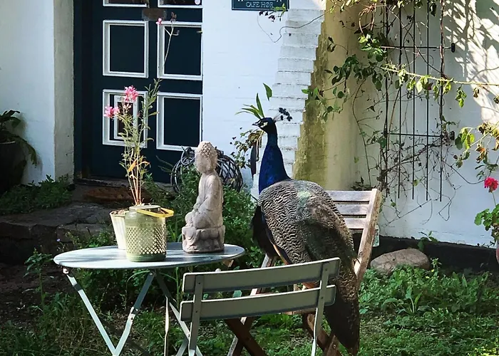 Bed & Breakfast Horhaven Fuglebjerg