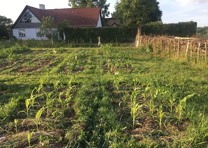 Oda ve Kahvaltı Horhaven Fuglebjerg